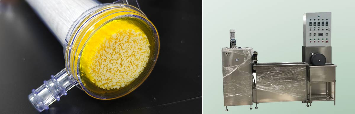 Unlocking the Potential of Hollow Fiber Membrane Modules in Protein ...