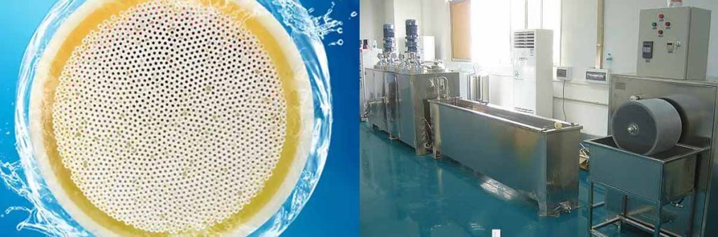 hollow-fiber-membrane-hemodialyzer